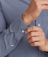 Wrinkle-Free Marcasin Shirt - FINAL SALE